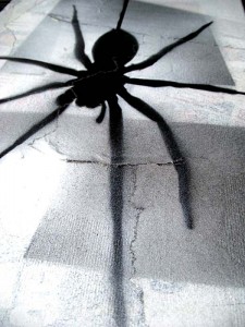 Mr Pilgrim Graffiti Art on Newspaper - Fear of Spiders | original art for sale, urban art, buy street art online