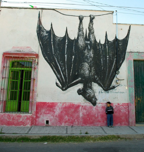 roa, street artist, urban art, street art, urban artist, graffiti art, murals.