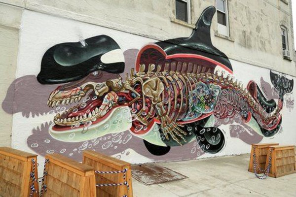 urban art, street art, street artist, urban artist, wall murals, graffiti art.
