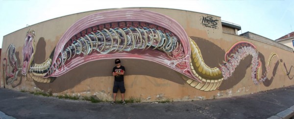 urban art, street art, street artist, urban artist, wall murals, graffiti art.