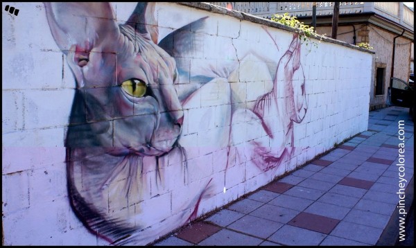 Pincheycolorea, Spain, great street art, urban artists, street artists, amazing urban art, graffiti art, Mr Pilgrim