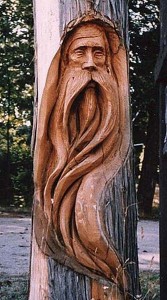 Amazing carving in a tree by Saggio Legnoso